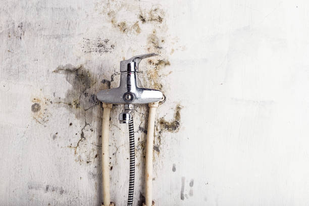 Best Post-Remediation Services in Crestwood, IL