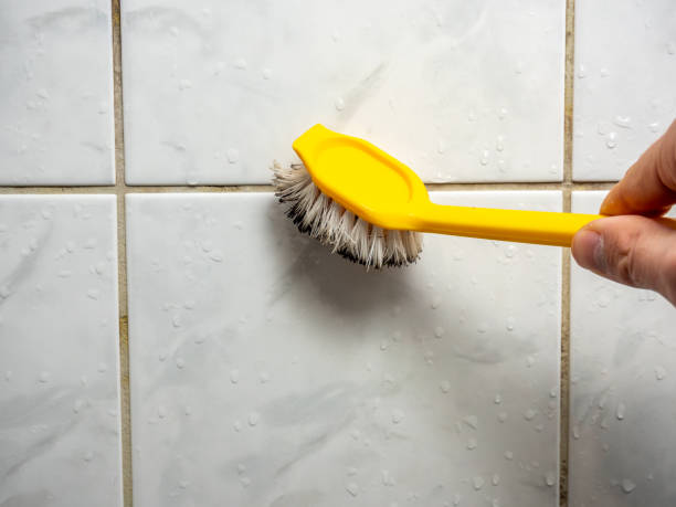 Best Kitchen Mold Remediation in Crestwood, IL