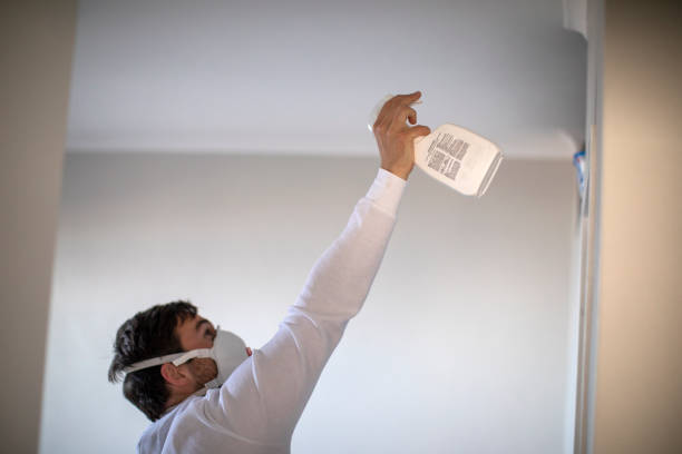 Best Residential Mold Remediation in Crestwood, IL