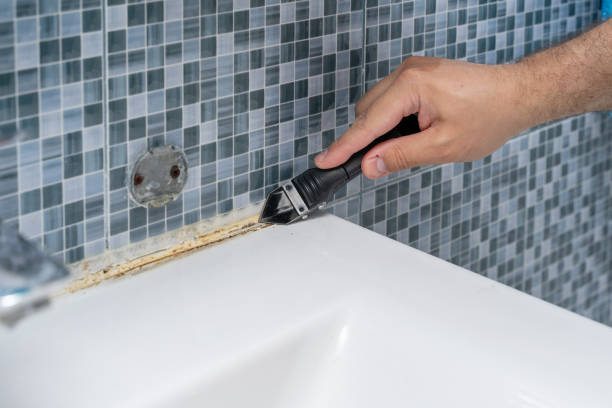 Crestwood, IL Mold Remediation Company