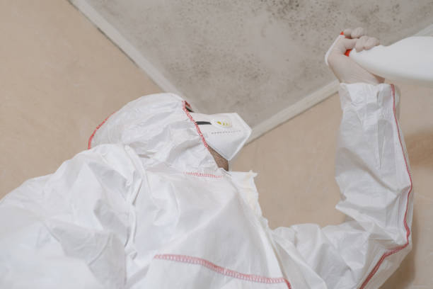 Best HVAC Mold Remediation in Crestwood, IL