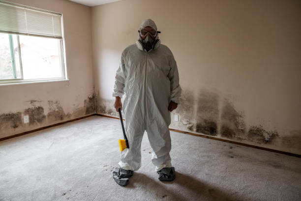 Best Crawl Space Mold Remediation in Crestwood, IL